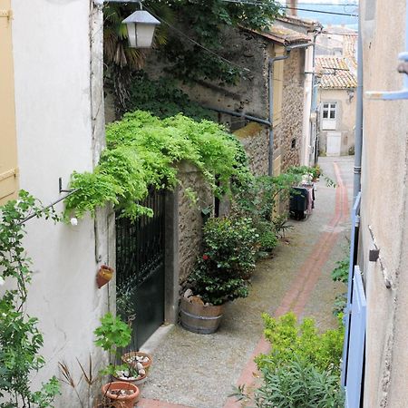 Maison Rives - Village Du Livre De Montolieu ภายนอก รูปภาพ